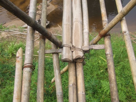 "hinge" between two sets of bamboo stalks. 